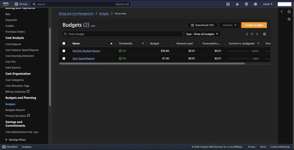 The UI displaying budget reports.